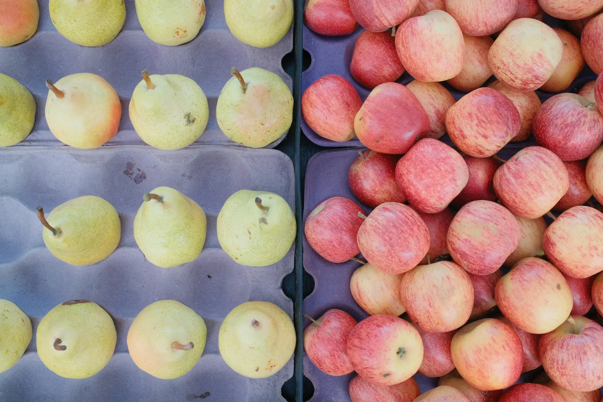 Funded trading vs leverage trading, key differences explained