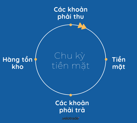 Các Thành Phần Chu Kỳ Tiền Mặt