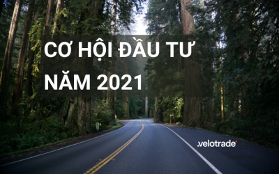 Cơ hội đầu tư năm 2021