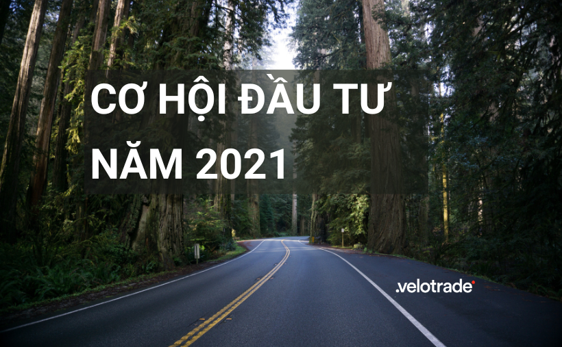 Cơ hội đầu tư năm 2021